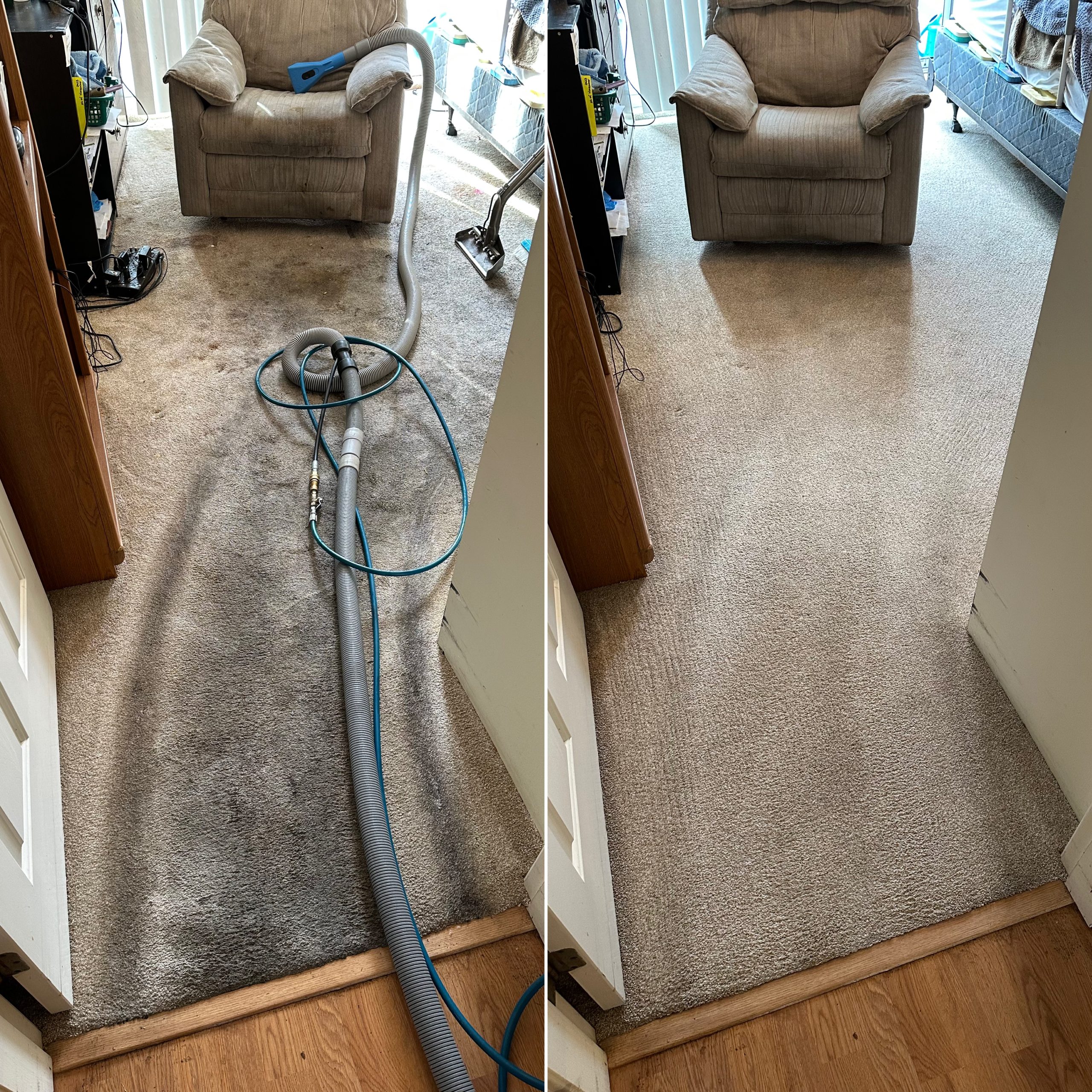 Why Annual Carpet Cleaning is Essential