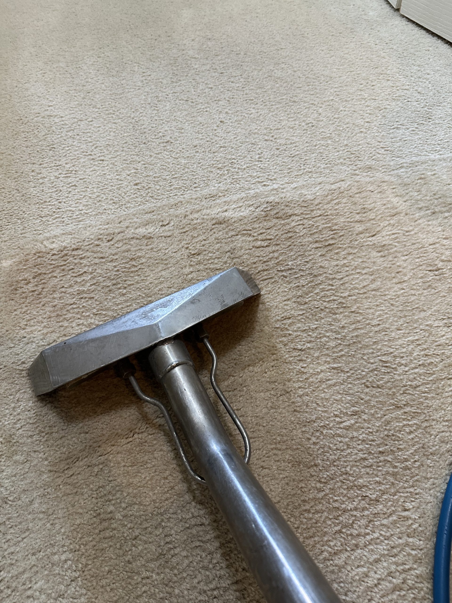 Steam vs. Dry: What Does YOUR Carpet Need?