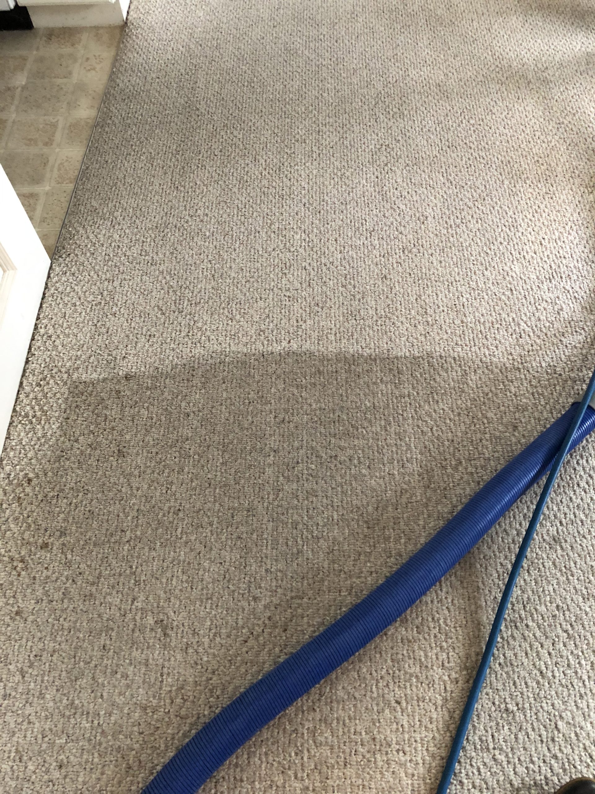 Choosing the Right Carpeting