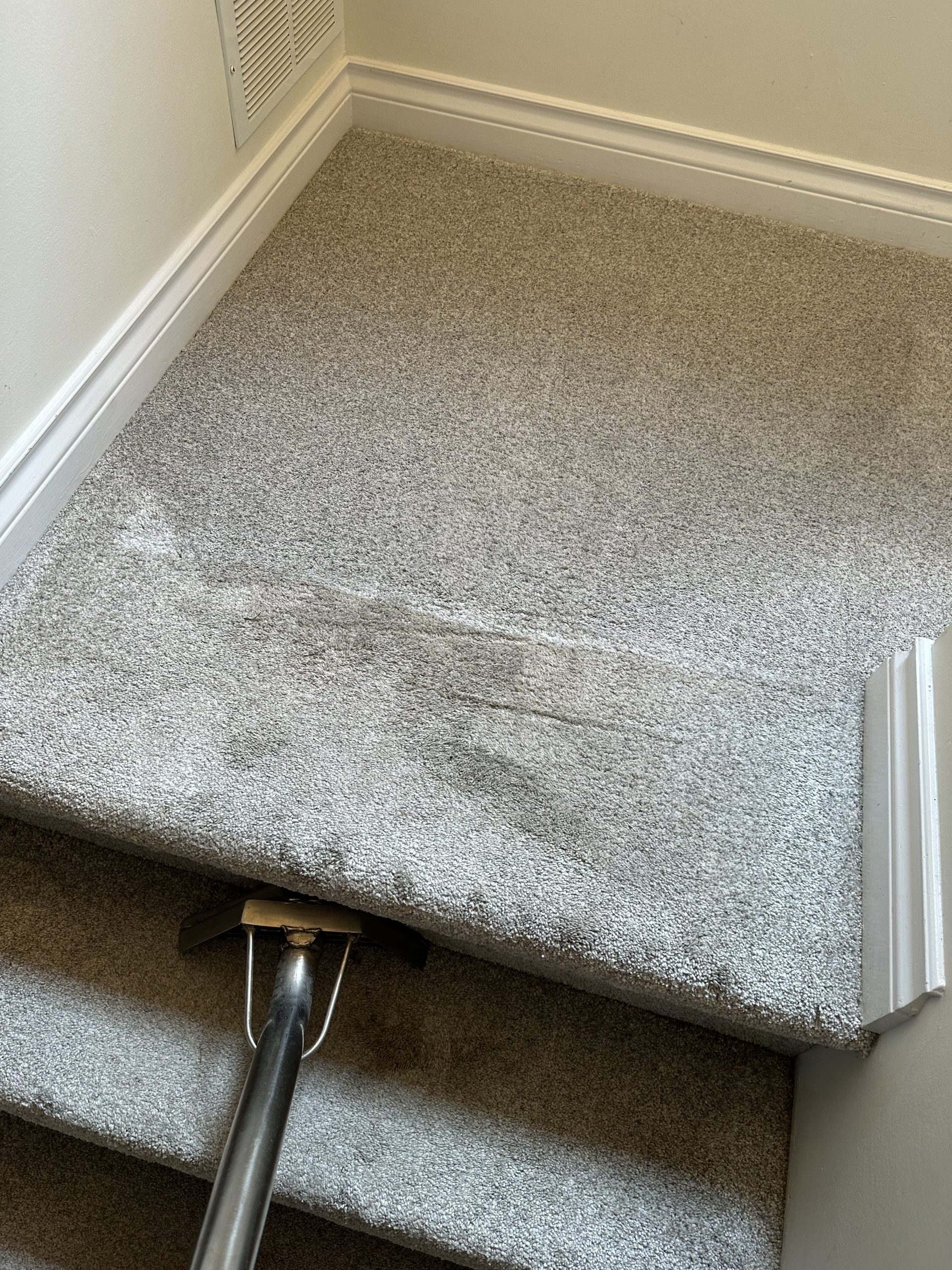 Hidden Impact of Professional Carpet Cleaning