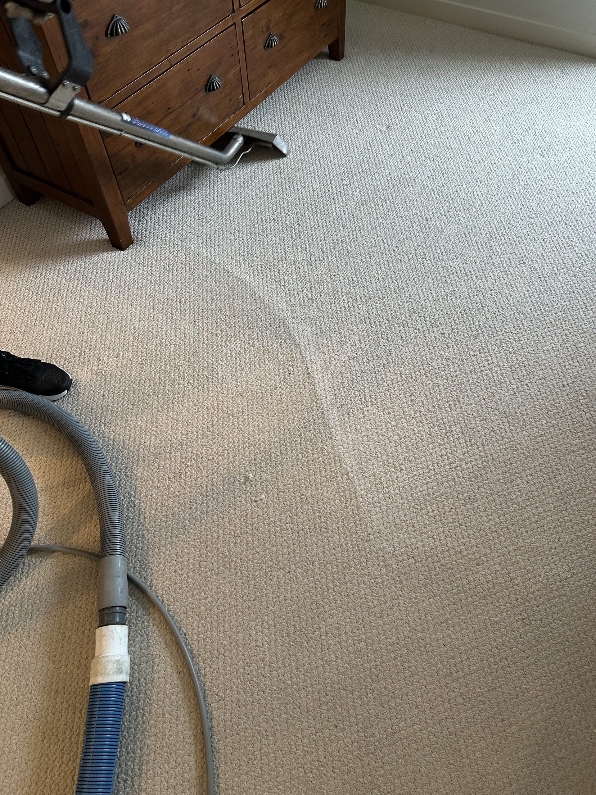 Time to CLEAN your Carpets?