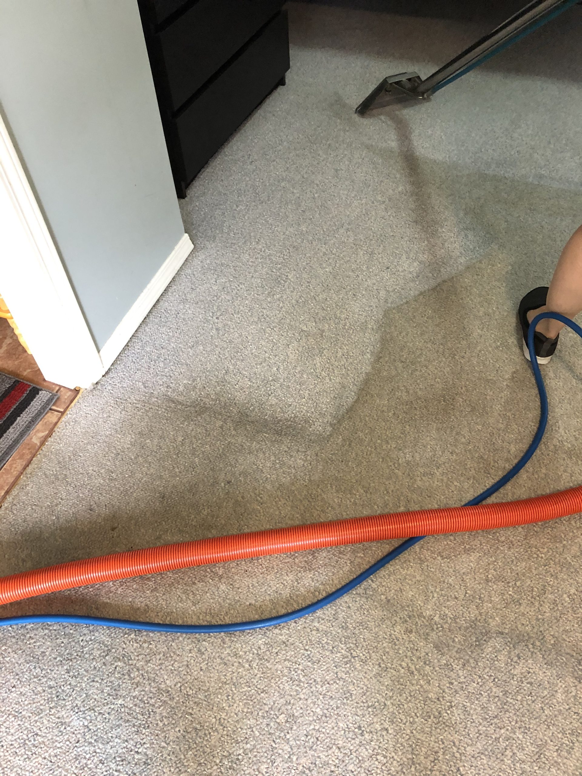 Nobody Regrets Cleaning Their Carpets